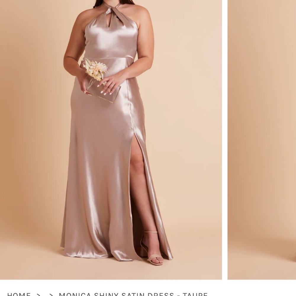 Birdy Grey Monica Shiny Satin Taupe Dress